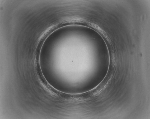 X0000080740629200612151250