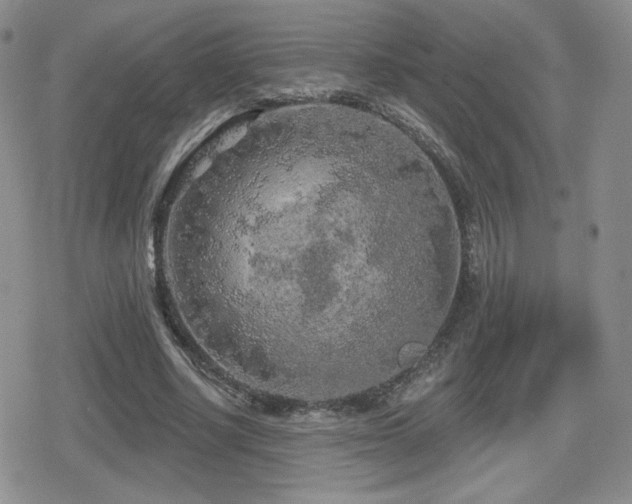 X0000080740634200612151250