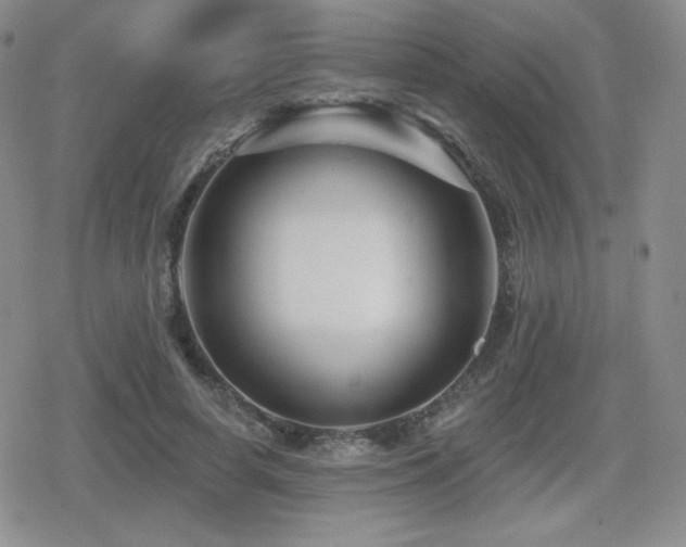 X0000080740642200612151250