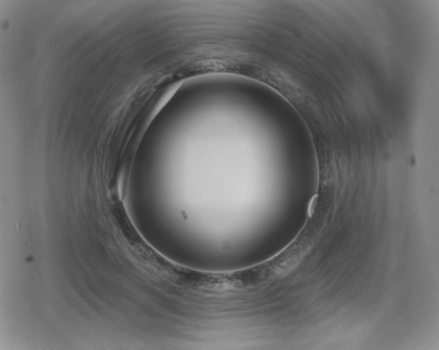 X0000080740646200612151250