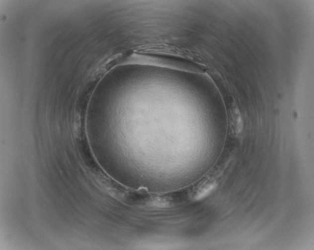 X0000080740656200612151250
