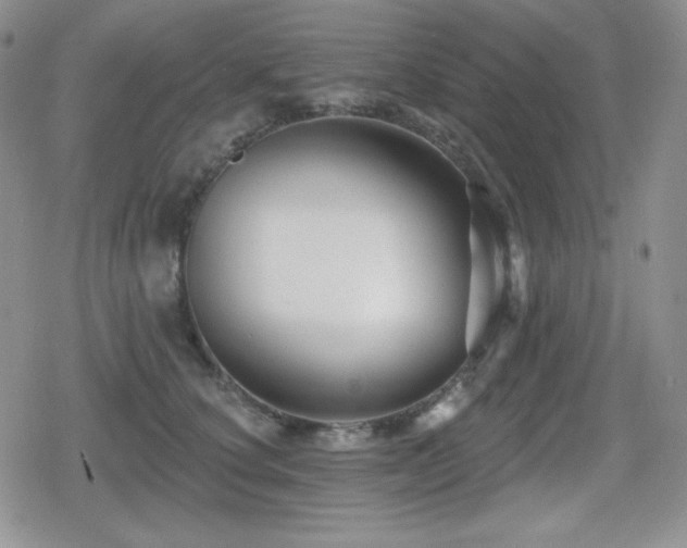 X0000080740660200612151251