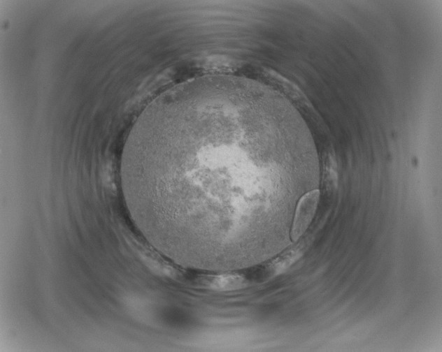X0000080740663200612151251