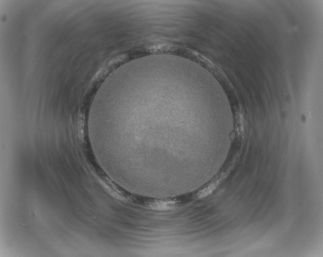X0000080740664200612151251