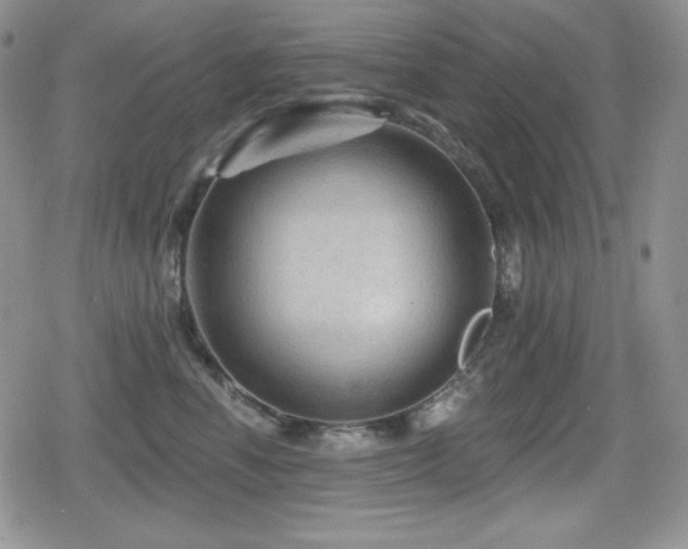 X0000080740666200612151251
