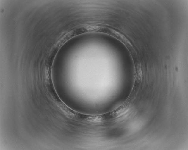 X0000080740667200612151251