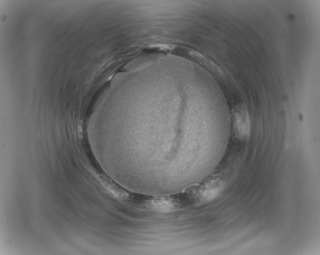 X0000080740668200612151251