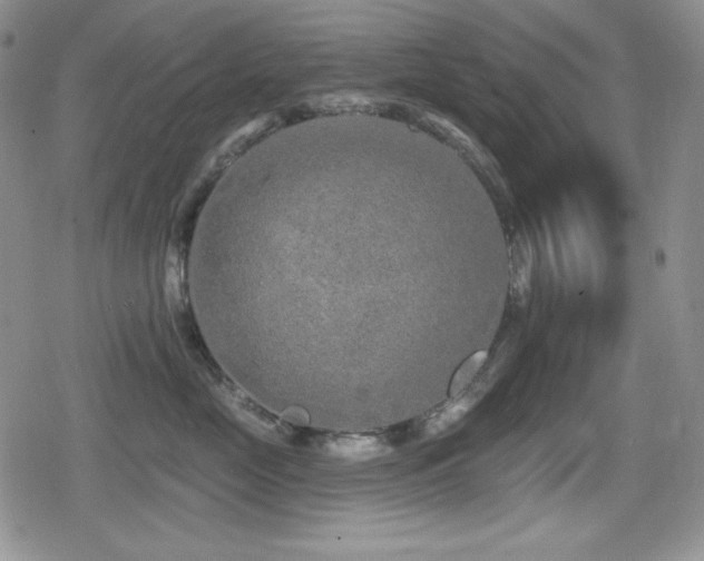 X0000080740669200612151251
