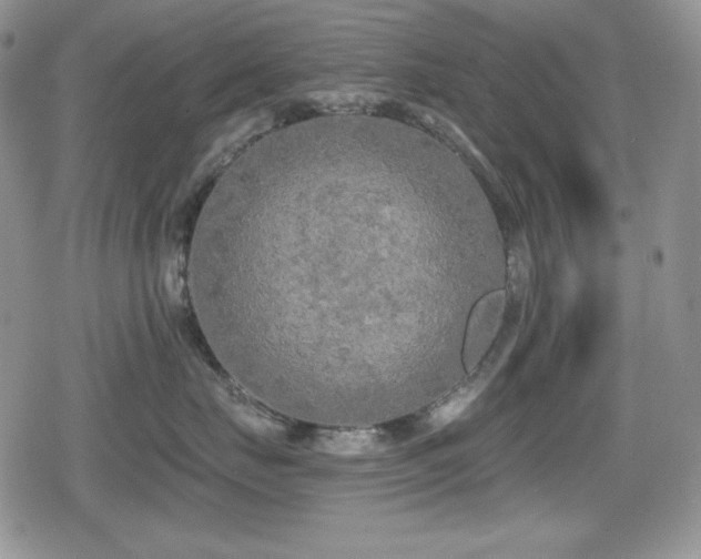X0000080740671200612151251