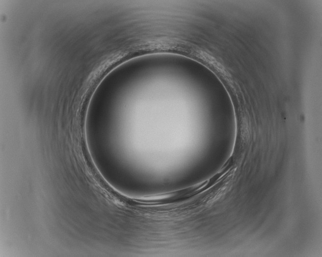 X0000080740673200612151250