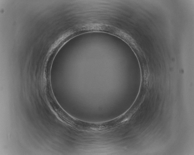 X0000080740674200612151250