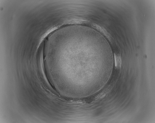 X0000080740675200612151250