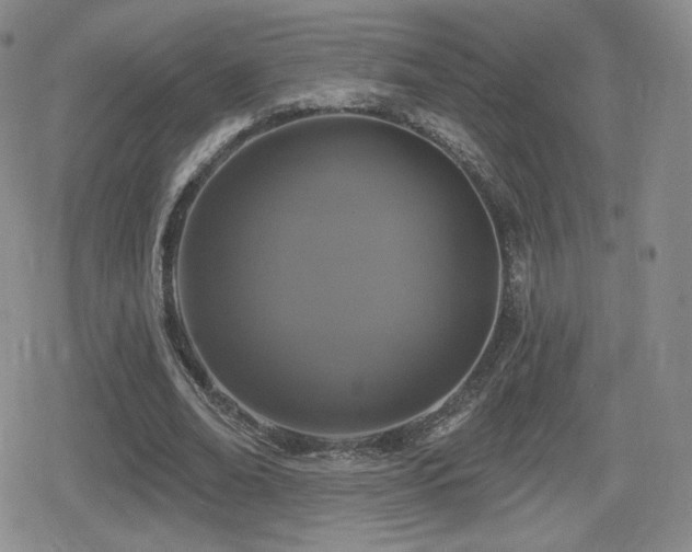 X0000080740678200612151250
