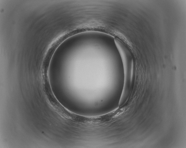 X0000080740680200612151250