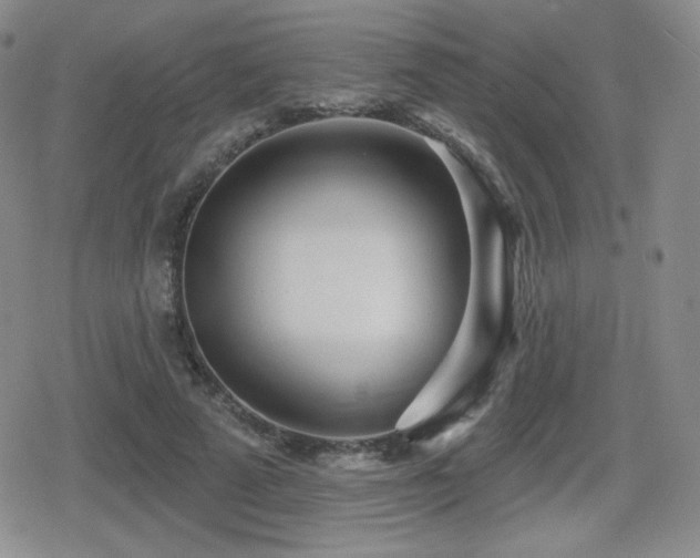 X0000080740689200612151250