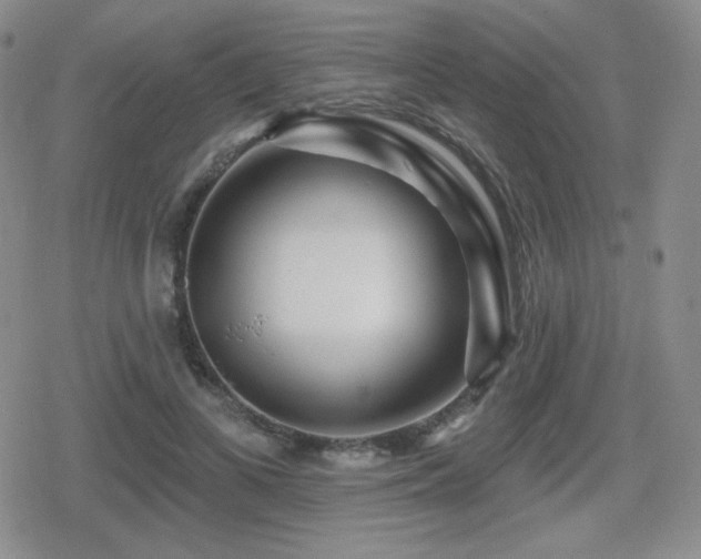 X0000080740693200612151250