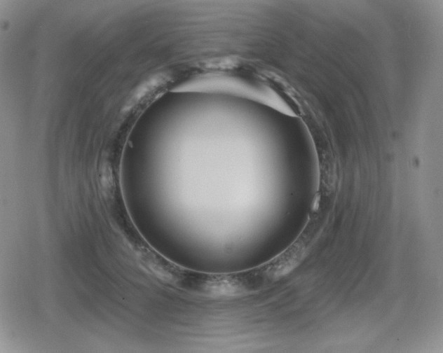 X0000080740704200612151249