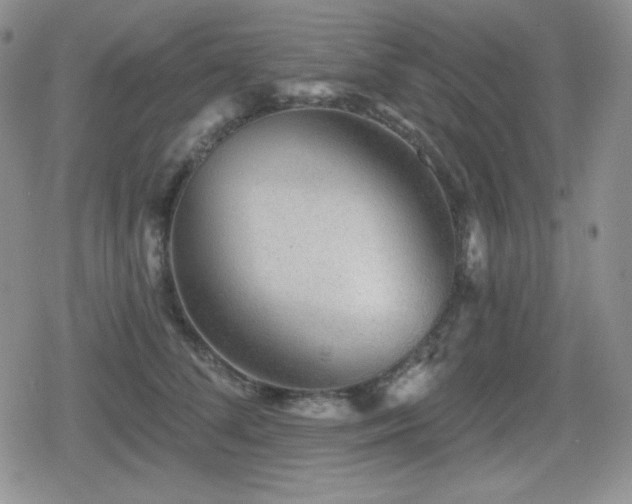 X0000080740708200612151249