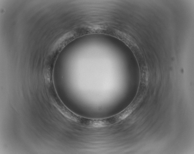 X0000080740710200612151249
