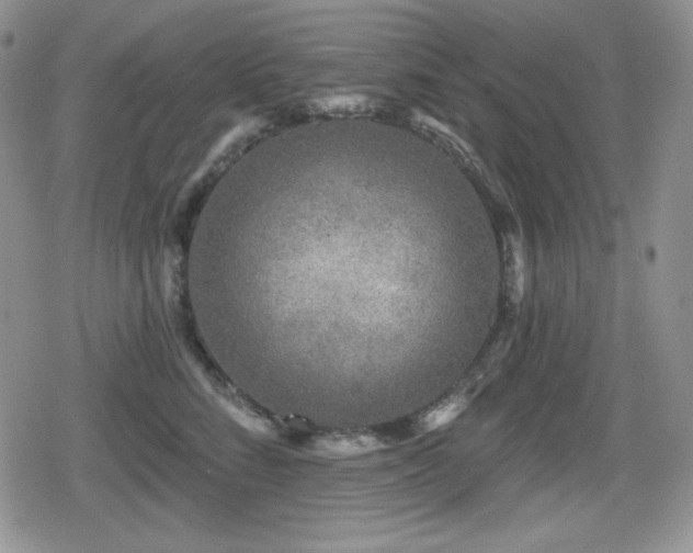 X0000080740712200612151249
