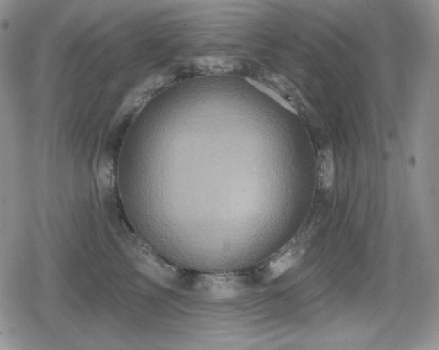 X0000080740713200612151249
