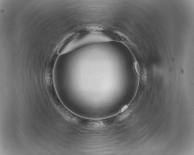 X0000080740715200612151249