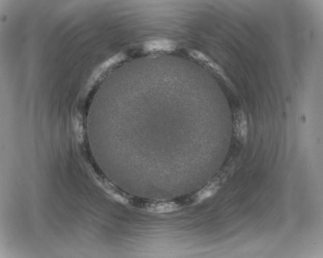 X0000080740716200612151249