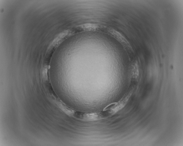 X0000080740717200612151249