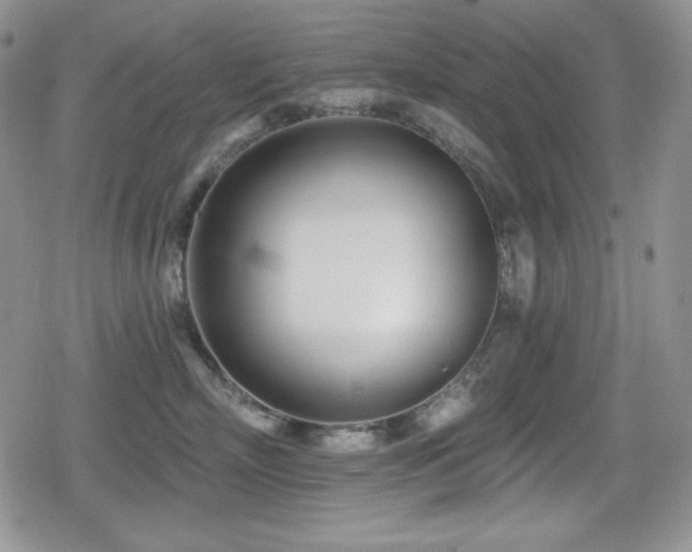 X0000080740718200612151249