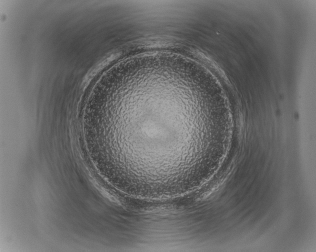 X0000080740721200612151248