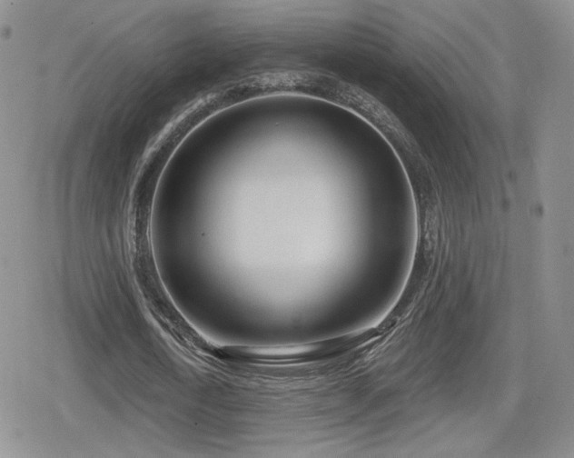X0000080740722200612151248