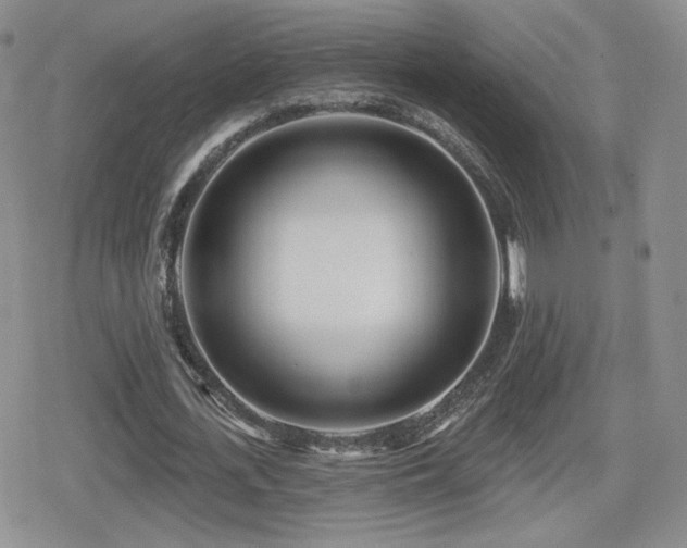 X0000080740723200612151248