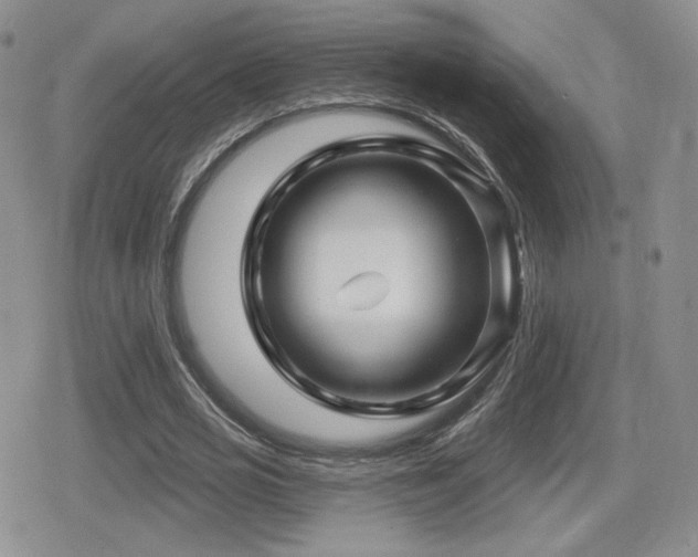 X0000080740725200612151248