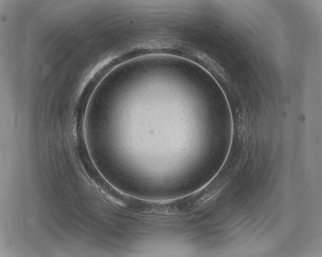 X0000080740727200612151249