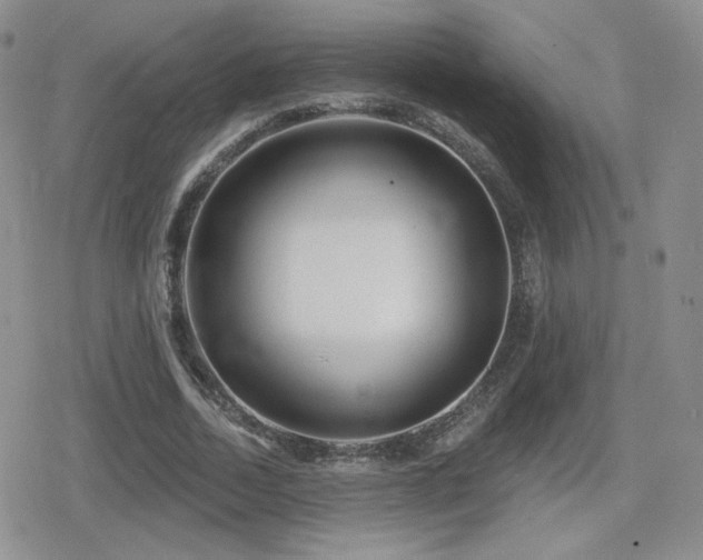 X0000080740730200612151249