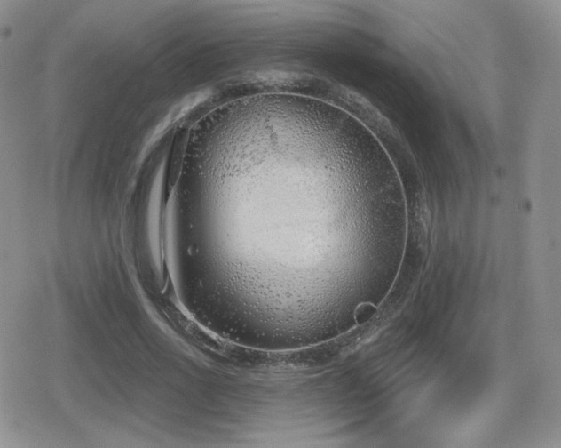 X0000080740734200612151249