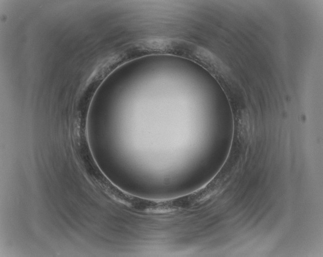 X0000080740739200612151249