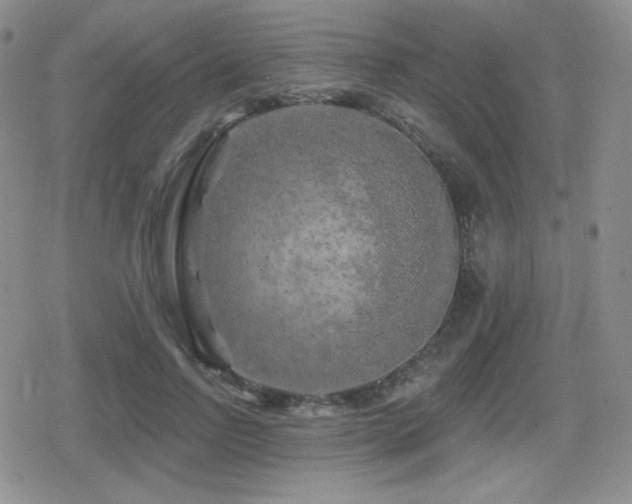 X0000080740742200612151249