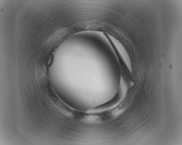 X0000080740748200612151249
