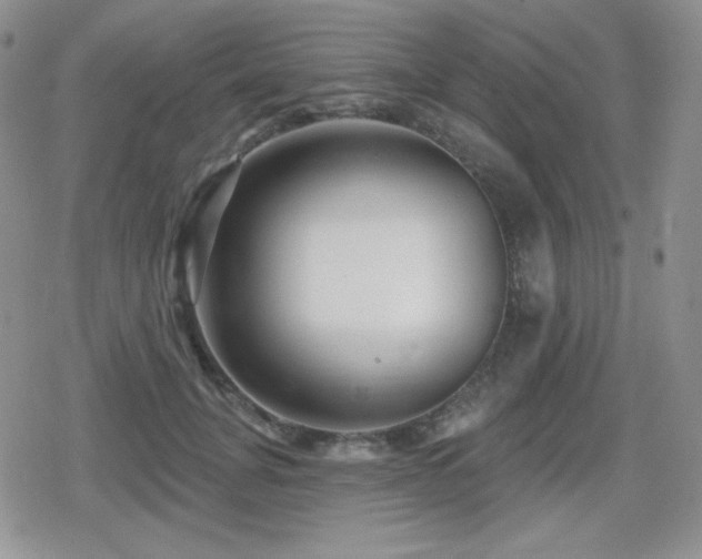 X0000080740751200612151249