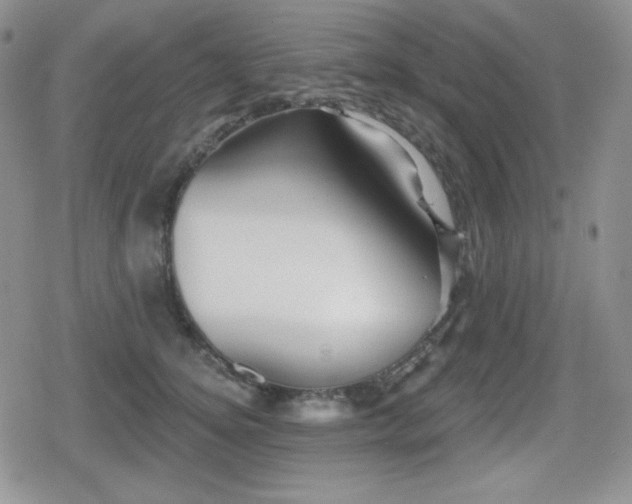 X0000080740756200612151249
