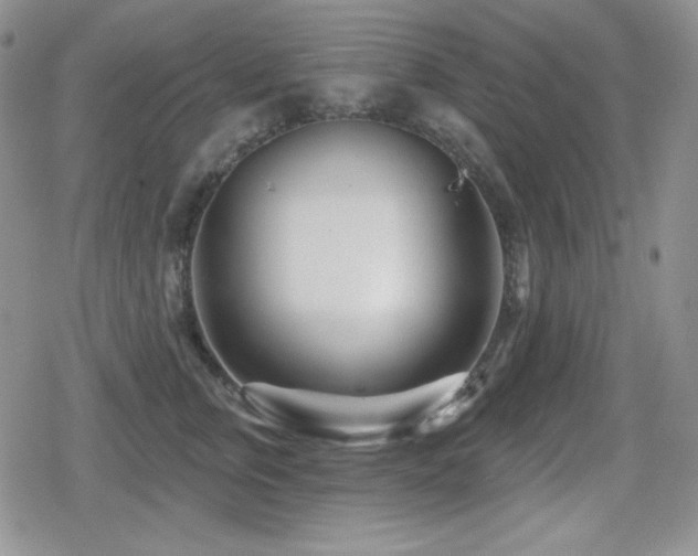 X0000080740759200612151249