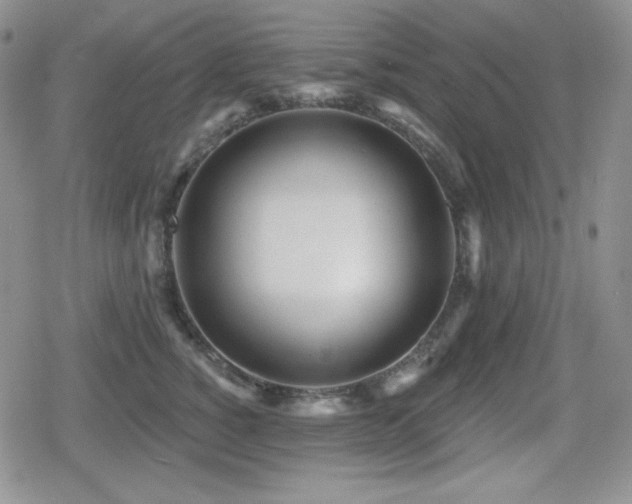 X0000080740760200612151249