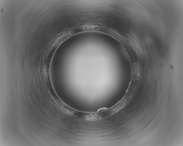 X0000080740761200612151249