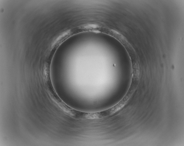 X0000080740762200612151249