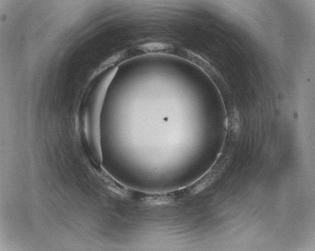 X0000080740763200612151249