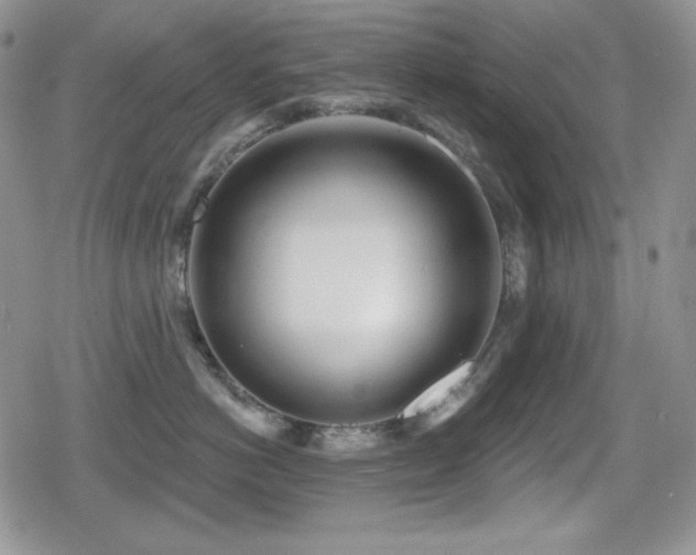 X0000080740766200612151249