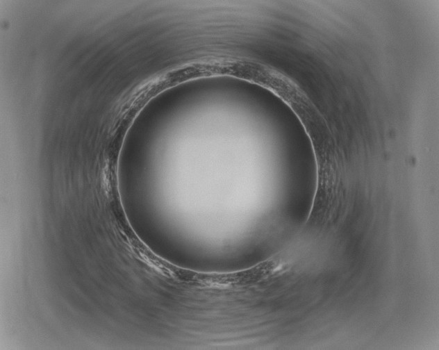X0000080740773200612151248