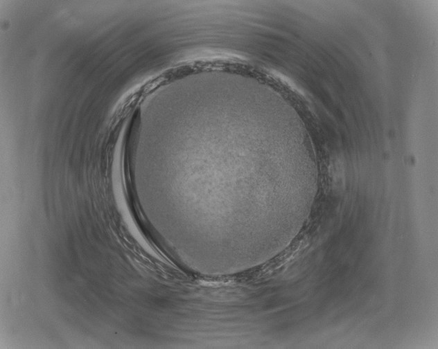 X0000080740775200612151248