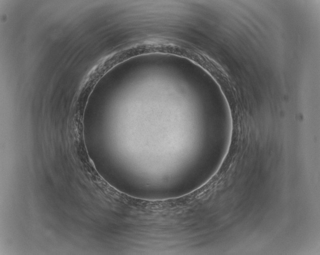 X0000080740776200612151248